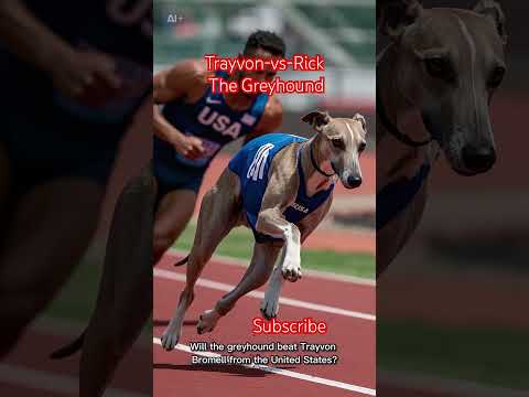 Trayvon or greyhound#dogs