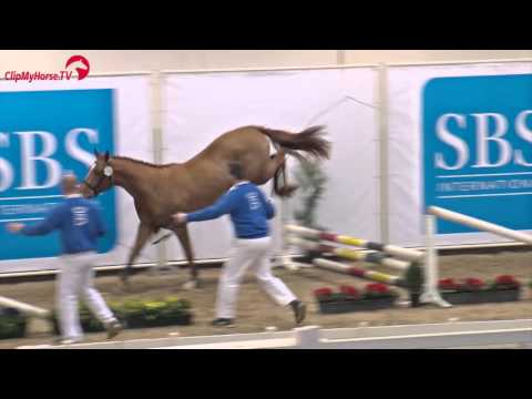 NEARLY PERFECT DE LA BRASSERIE