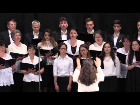 Cor Razboieni - Psalmul 104