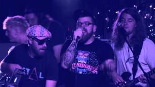 Shrub ~ Coconut Tree ~ 8-8-14