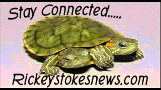 Ricky Stokes News