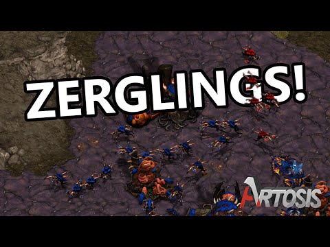 Opening Up with Aggression - MisO vs. Action