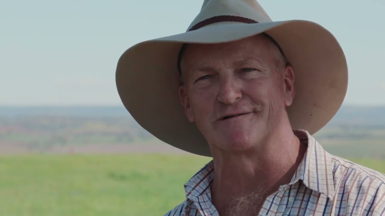 The future of Sydney is renewable