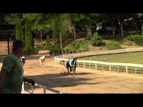 2014.07.06. CRF Czech Derby Final