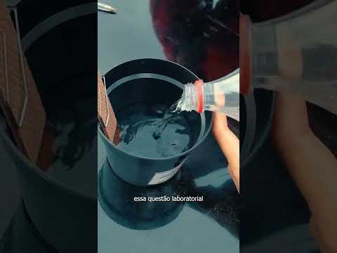 BALNEÁRIO PINHAL INSTALA ARMADILHAS QUE MONITORAM E CONTROLAM A PROLIFERAÇÃO DO MOSQUITO DA DENGUE