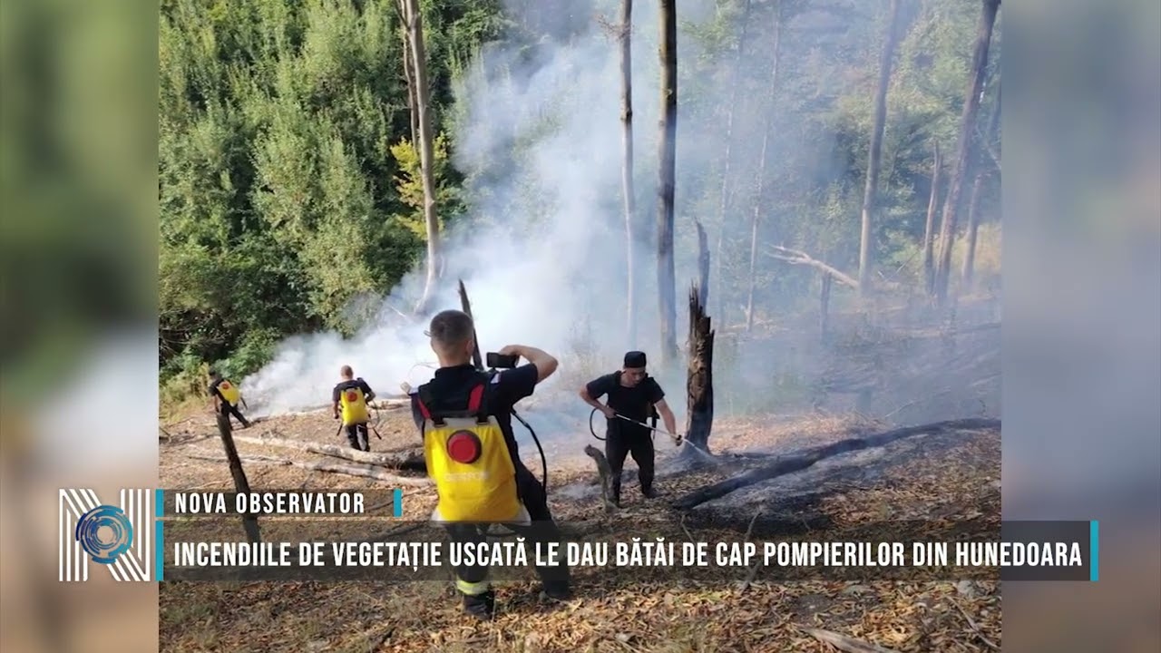 Incendiile de vegetație uscată le dau bătăi de cap pompierilor din Hunedoara
