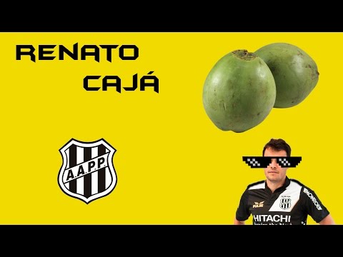 Golaço do Renato Cajá - Grêmio 3x3 Ponte Preta