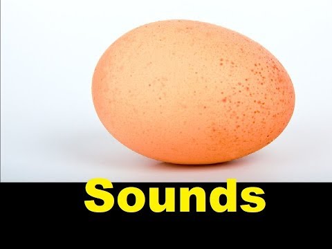 Egg Sound Effects All Sounds