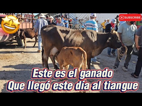 Dia de Tiangue en Santa Rosa de Lima La Unión El Salvador 