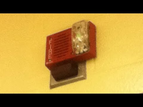 Fire Alarm goes off at High School 11/25/15 The Day before Thanksgiving