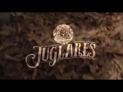 Soy la Raíz - Juglares (Live Version)