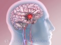 3D Animated Stroke