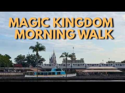Live webcam of The Disney With Sean Show