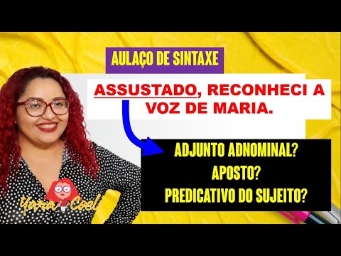 AULAÇO DE SINTAXE 05 - Adjunto Adnominal e Predicativo - Teoria e 10 Questões