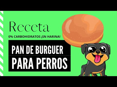 Pan saludable para perros 100% Casero y 0% Carbohidratos 🍔 Ideal para hamburguesas