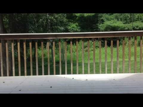 Open  House Time Lapse
