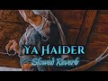 Ya Haider Nadeem Sarwar Slowed Reverb