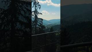 Download lagu Belvedere - Stânca cu Clopoței - #sinaia #travel #trip #2025 #nature #mountains #romania #edit mp3