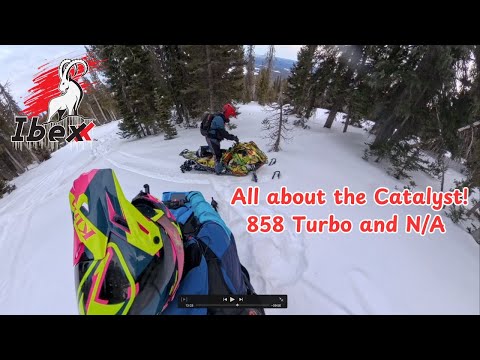All About the Catalyst 858 Turbo & N/A!