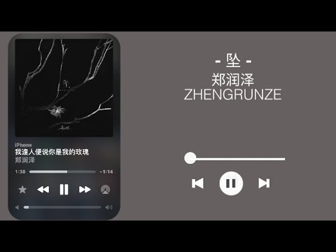 坠 - 郑润泽
