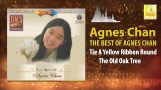 Agnes Chan - Tie A Yellow Ribbon Round The Old Oak Tree (Original Music Audio)