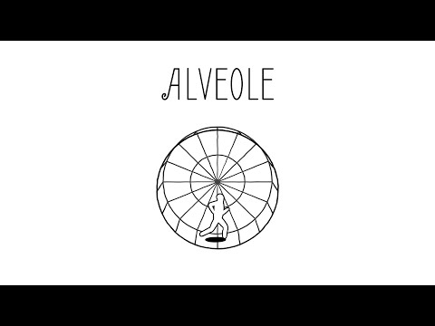 Alveole - Nintendo Switch Release Trailer [NOA] thumbnail