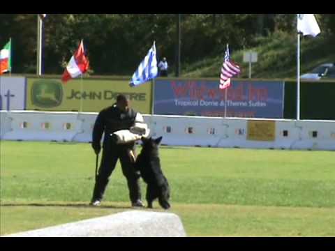 ATAQUE WUSV 2008 ZIDANE