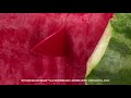 MTN DEW MAJOR MELON ASMR