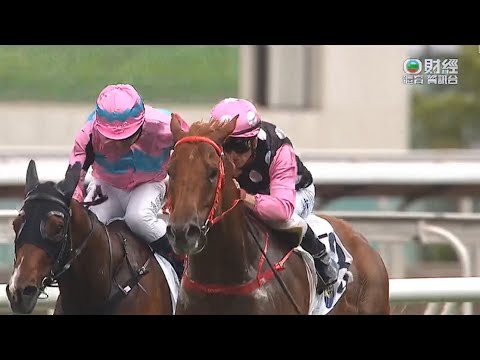 2023 獅子山錦標 Lion Rock Trophy G3 - 永遠美麗 (Beauty Eternal) - 潘頓 (Z. Purton) (大熱大勇順利首勝級際賽)