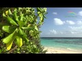 Tropical Island - Maldives - 4K 