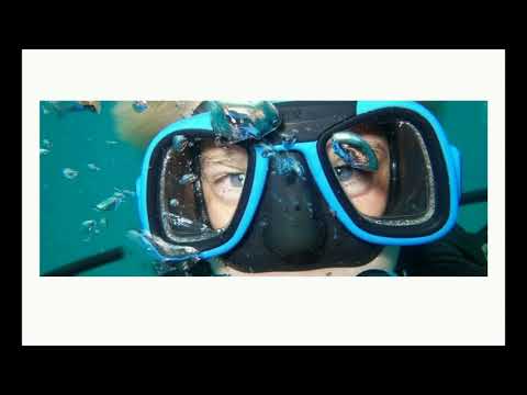 C11 : Description d'un fluide au repos (1ère Spé)