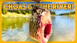 I caught 100lbs of fish in 5 minutes 🤯