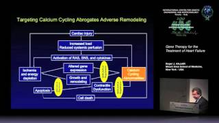 R. J. Hajjar - Gene therapy for the treatment of heart failure