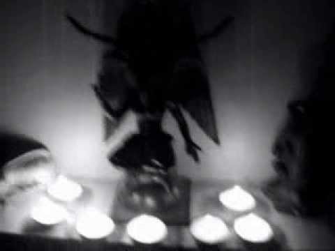 Demoncy - Angel Of Dark Shadows (Goddess Of The Dark) (fan video)