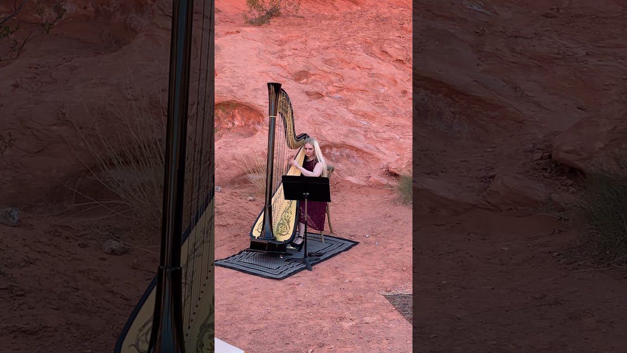 Promotional video thumbnail 2 for Melody in Flight, Harpist