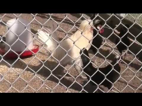 Loytyhän se paikka osa3