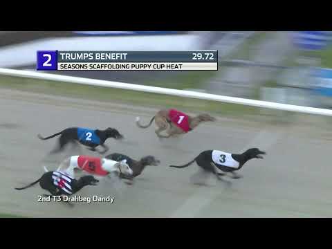2021 PUPPY CUP - HEAT 3 - T2 TRUMPS BENEFIT