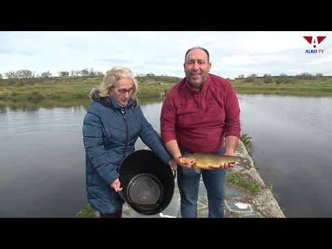 Repoblación de tencas en las albujeras