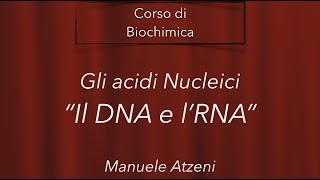 Biochimica (Gli acidi nucleici, il DNA e l'RNA)