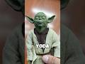 I BOUGHT THE WRONG YODA