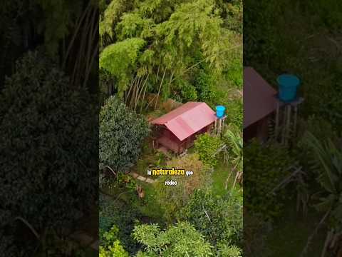 Brisas de la Reserva📍Yotoco-Valle  #yotocovalle #cali #bugavalle #lagocalima  #semanasanta