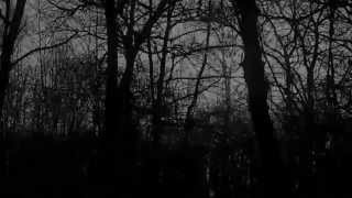 preview picture of video 'Wolves Wood, Hadleigh, Suffolk'