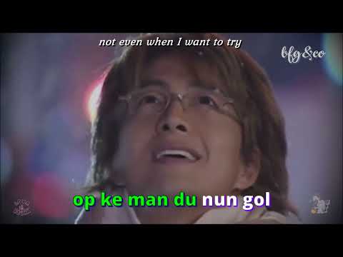 From Beginning Till Now - Ryu | Karaoke Easy Lyrics | Winter Sonata OST
