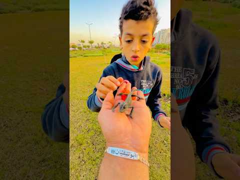 😲🤯🤯الحرباية بتغير لونها قدام الكامير!!INSANE Color Changing Chameleon