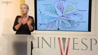 Biologia Geral - Aula 11 - Evolução dos eucariontes amebozoa e rizharia