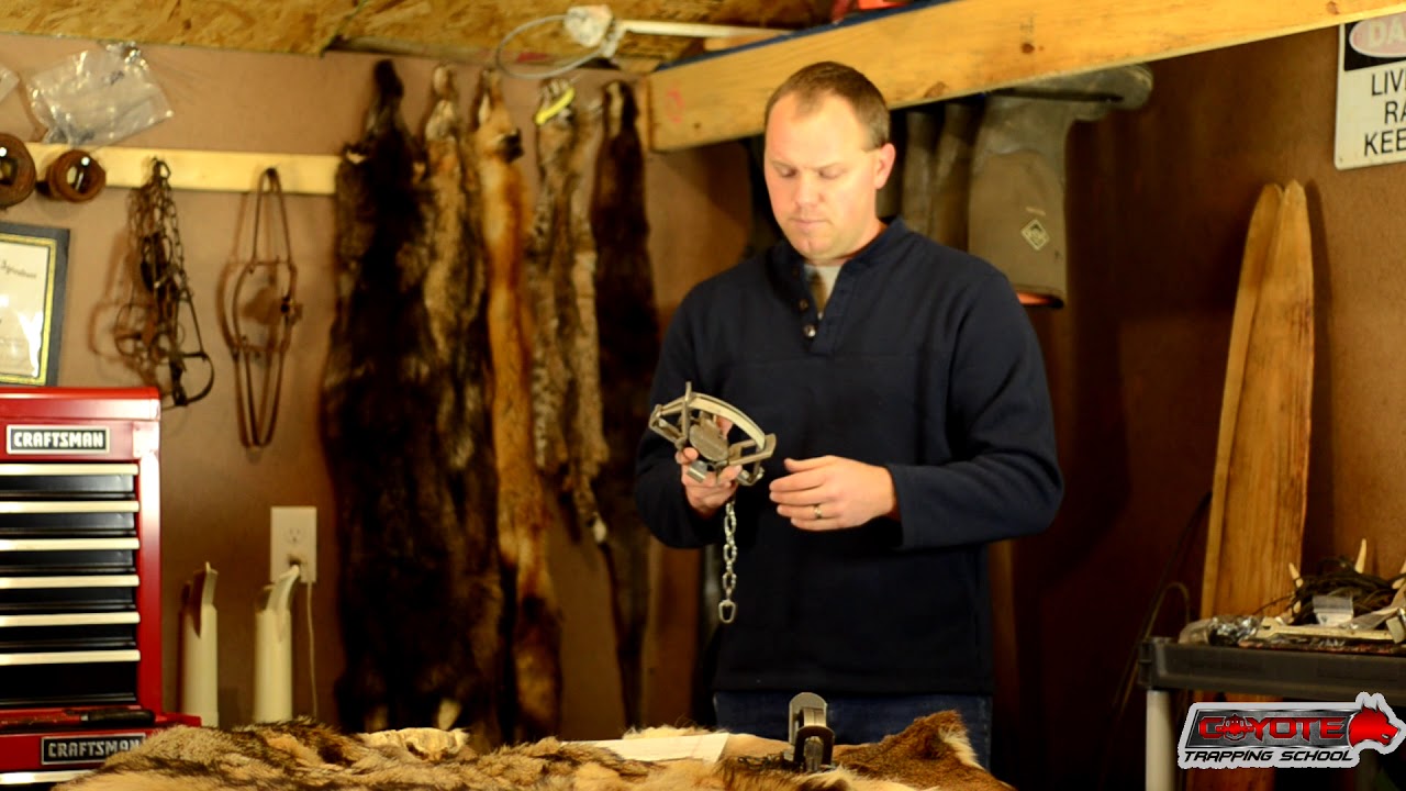 Predator Trapping Tutorial