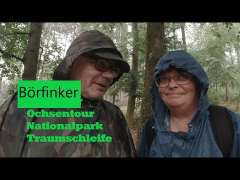 Dream Loop Börfinker Ochsentour a dream loop of the Saar-Hunsrück Steig