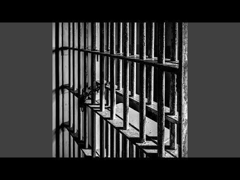 Vangile ei meeldi trellid (feat. Triin Niitoja & Freddy Tomingas)