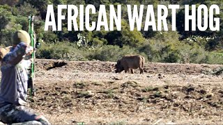 WILD African Wart Hog Bow Hunting | Bowmar Bowhunting |