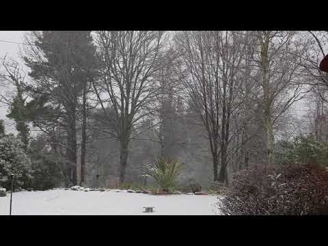 Mearyarc Hogsback SNOW DAY :-)